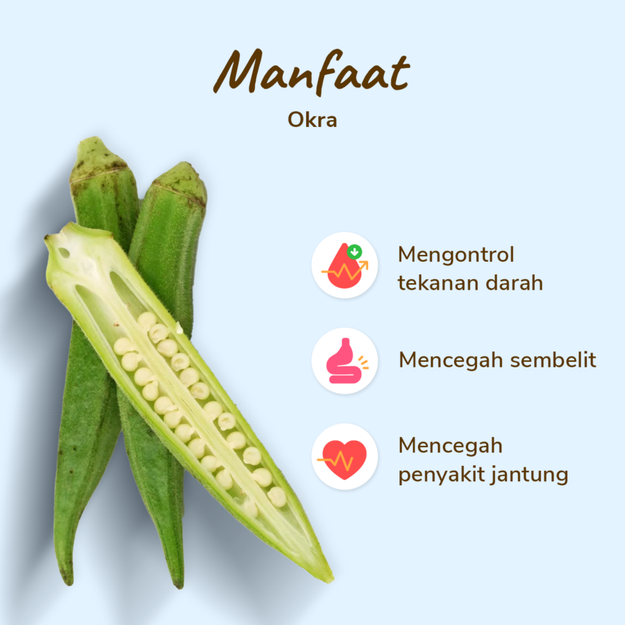 Okra Astro Goods 200gram