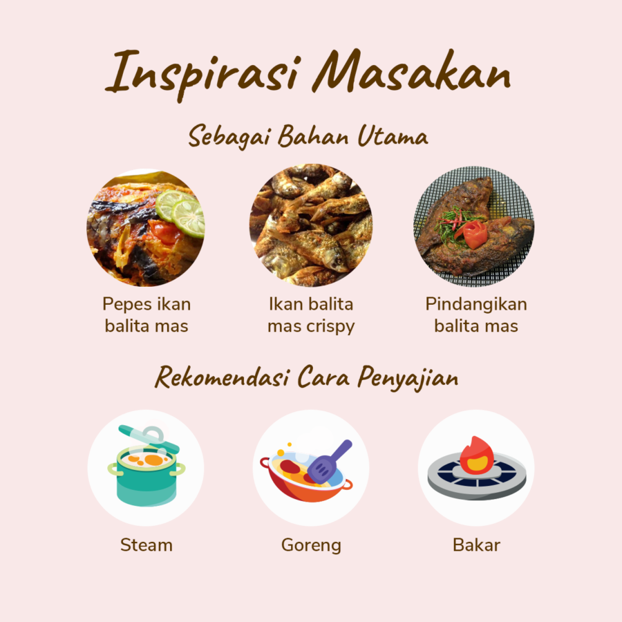 Ikan Balita Mas Astro Basics 200gram