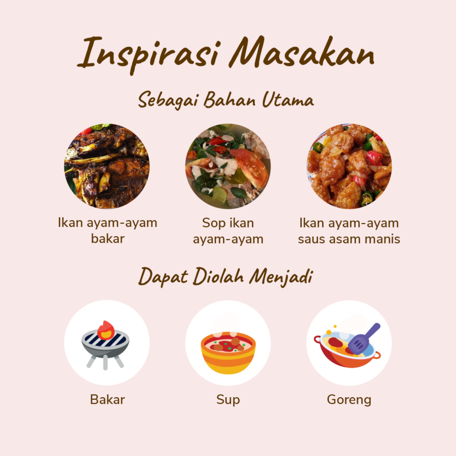 Ikan Ayam - Ayam - Astro Basics 500gram