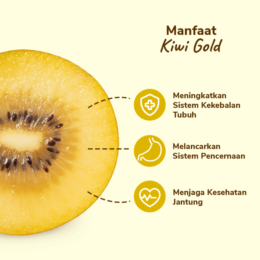 Kiwi Gold Premium Astro Farm 2 pcs 150-165 gram