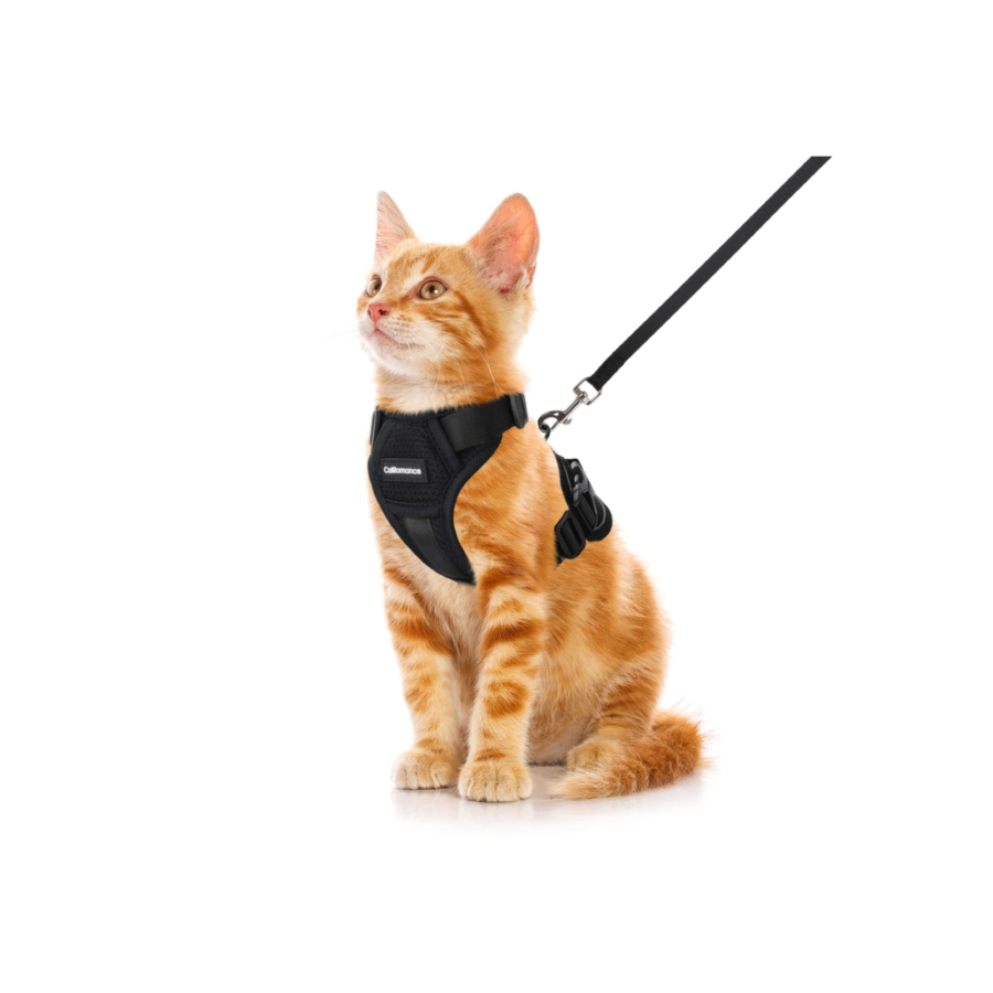 Cat Harness 1pcs