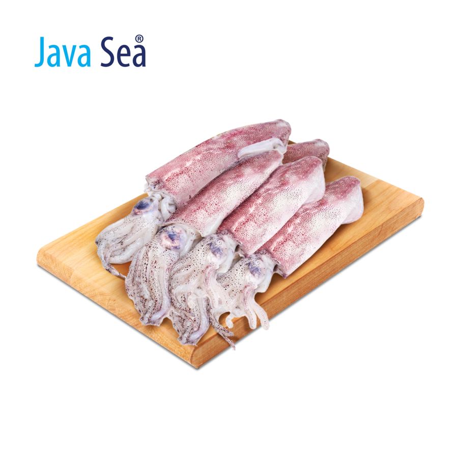 Cumi Utuh 4-6 cm Java Sea 200gram