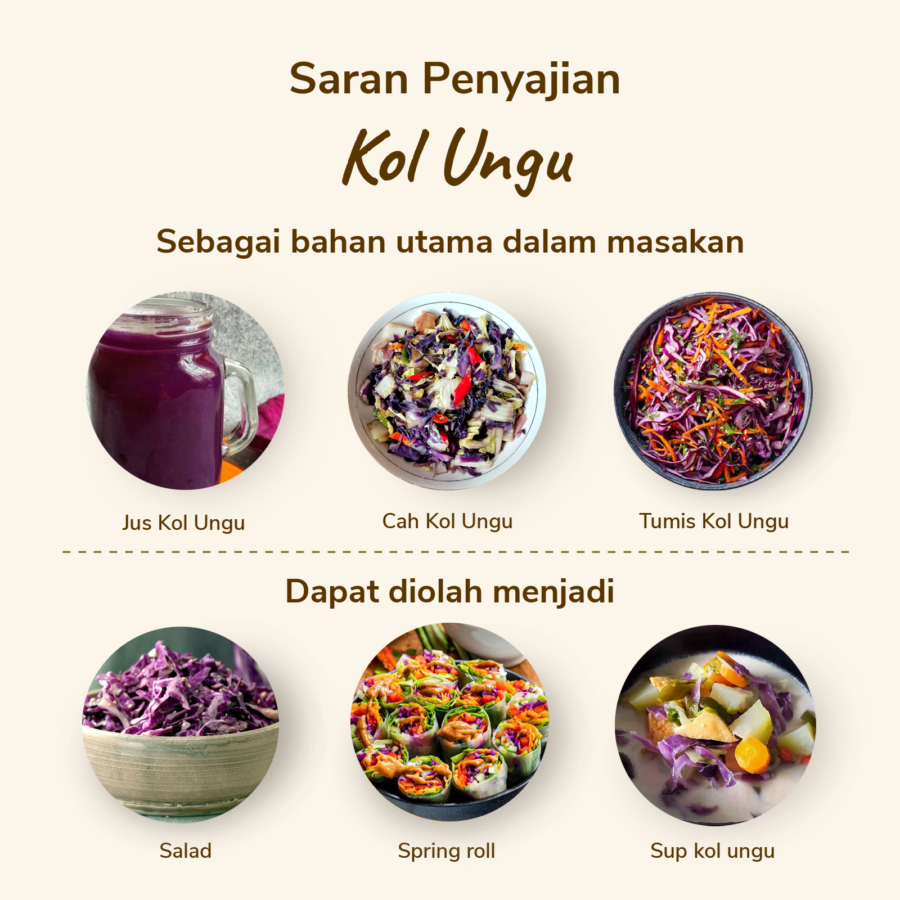 Kol Ungu Astro Farm 1 pcs 400-450 gram
