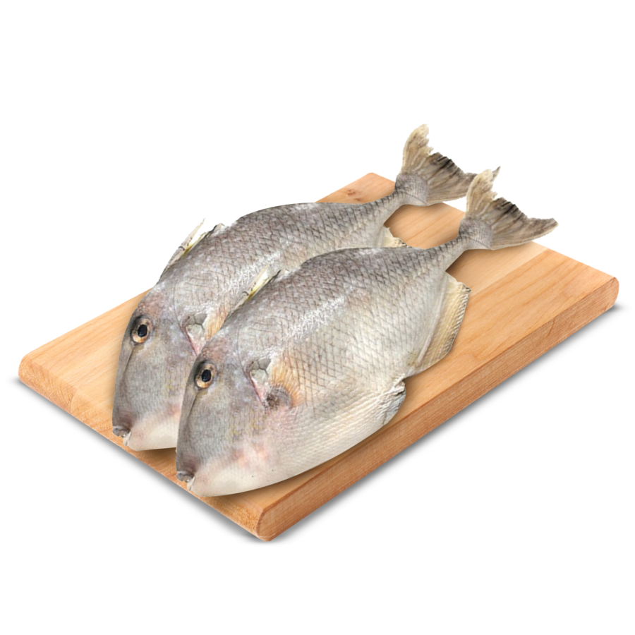 Ikan Ayam - Ayam - Astro Basics 500gram