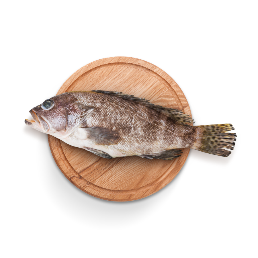 Ikan Kerapu Bersih (2-3 pcs) 500gram