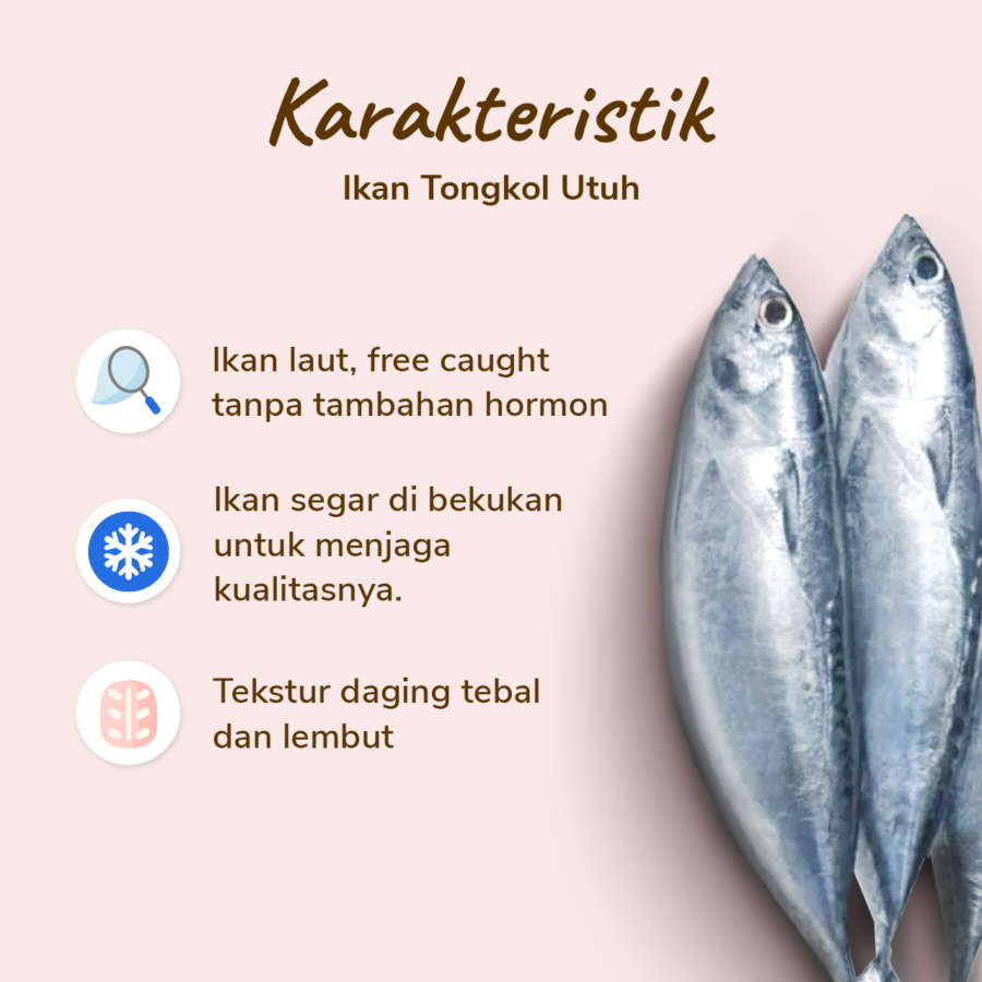 Ikan Tongkol Utuh Astro Basics 450gram