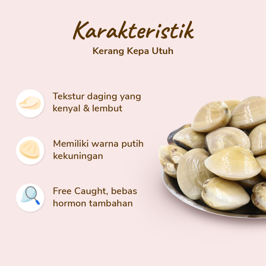 Kerang Kepa Utuh Astro Basics 500gram