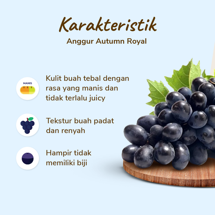 Anggur Autumn Less Seed Premium Astro Farm 450-500 gram