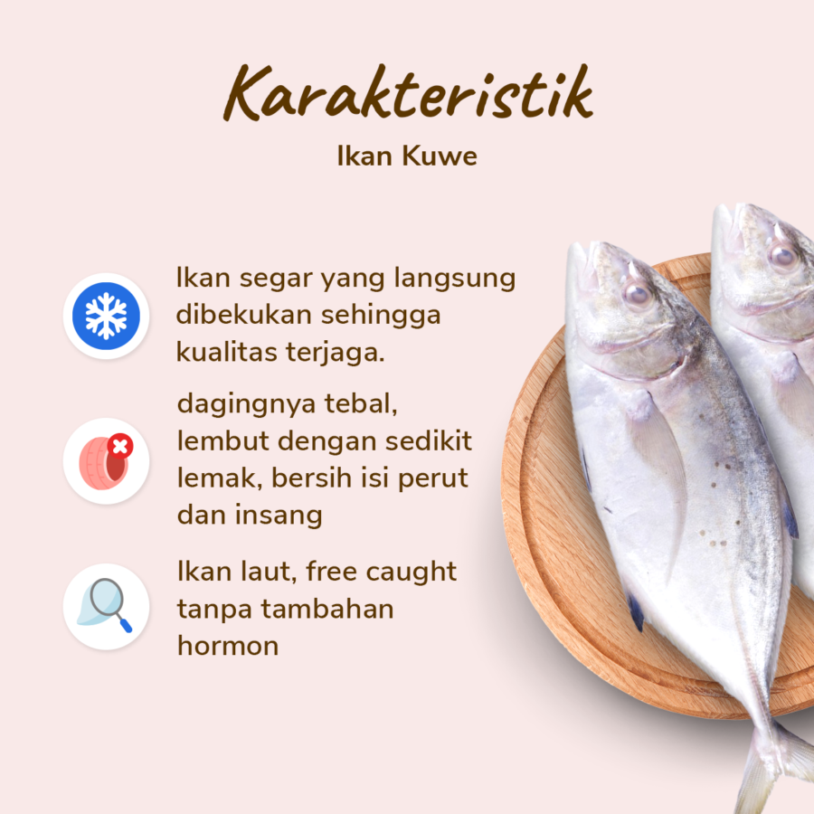 Ikan Kuwe Bersih Astro Basics 500gram