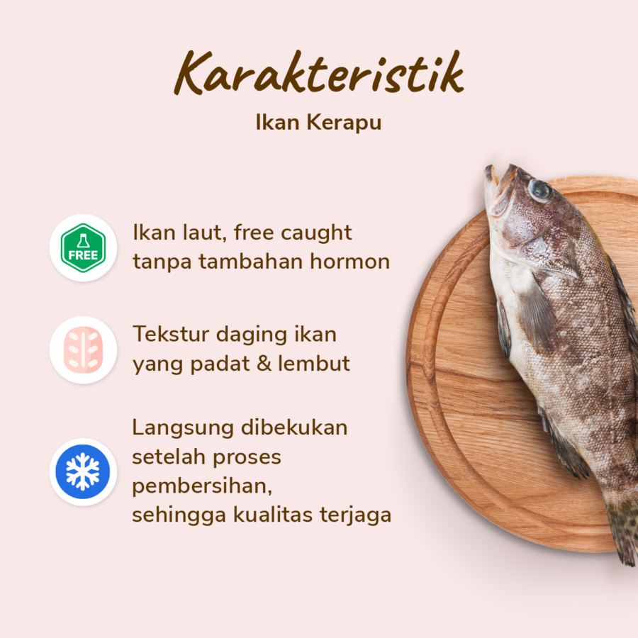 Ikan Kerapu Bersih (2-3 pcs) 500gram
