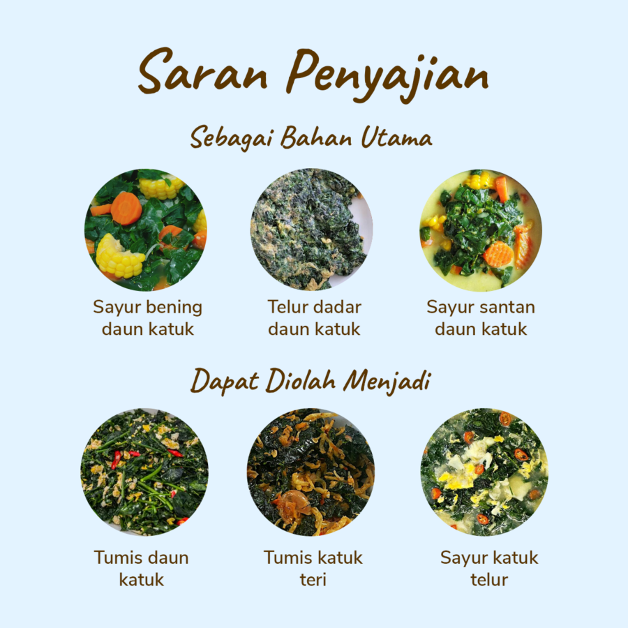 Daun Katuk Conventional Astro Goods 200gram