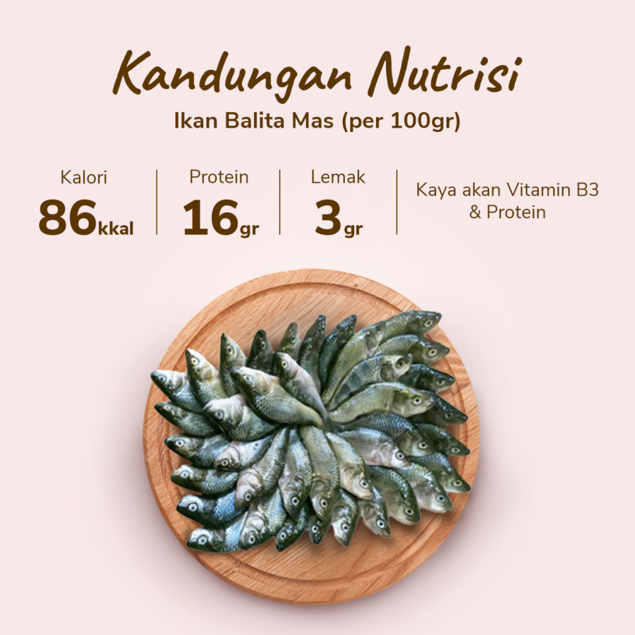 Ikan Balita Mas Astro Basics 200gram