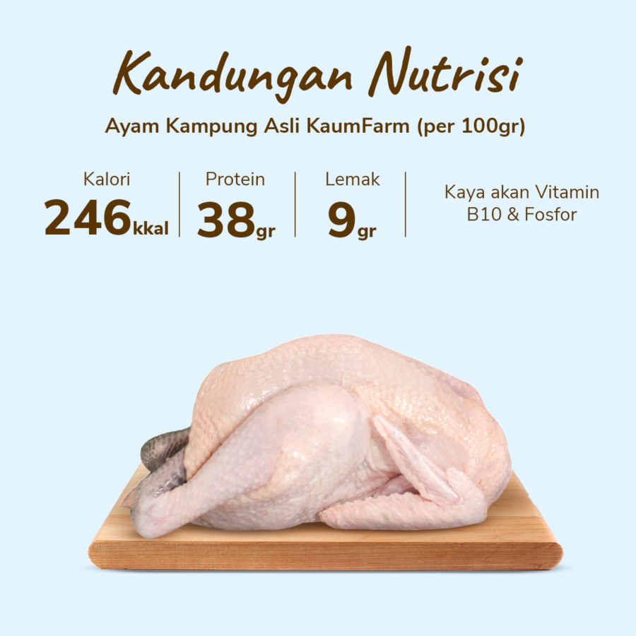Ayam Kampung Asli KaumFarm 700-800gr 1pcs