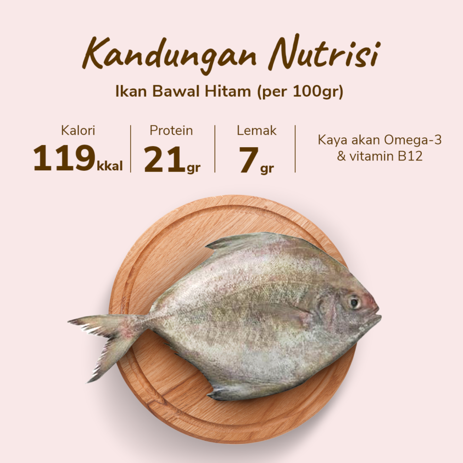 Ikan Bawal Hitam Bersih Astro Basics 500gram