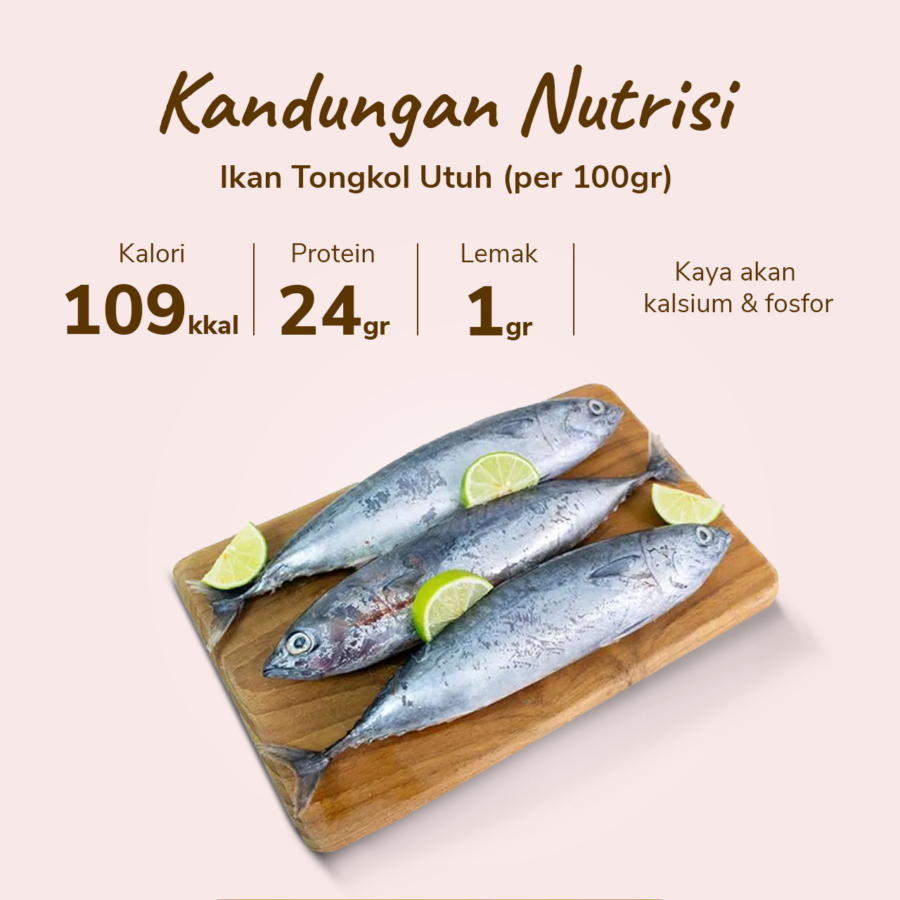 Ikan Tongkol Utuh Astro Basics 450gram