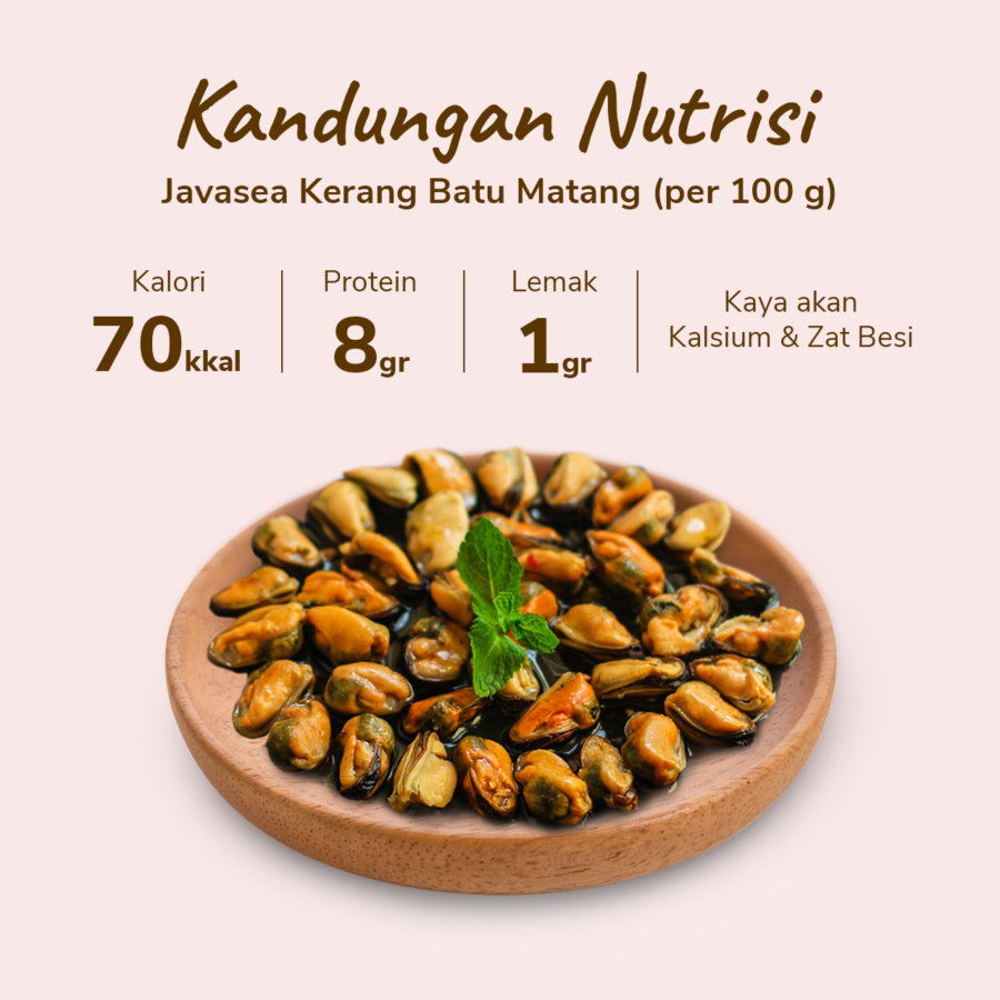 Kerang Batu Matang Javasea 200gram