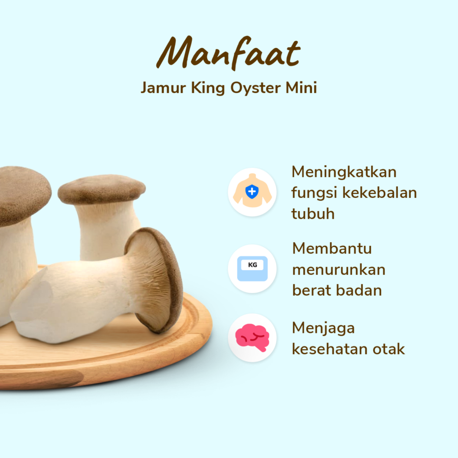 Jamur King Oyster Mini Pack 200gram