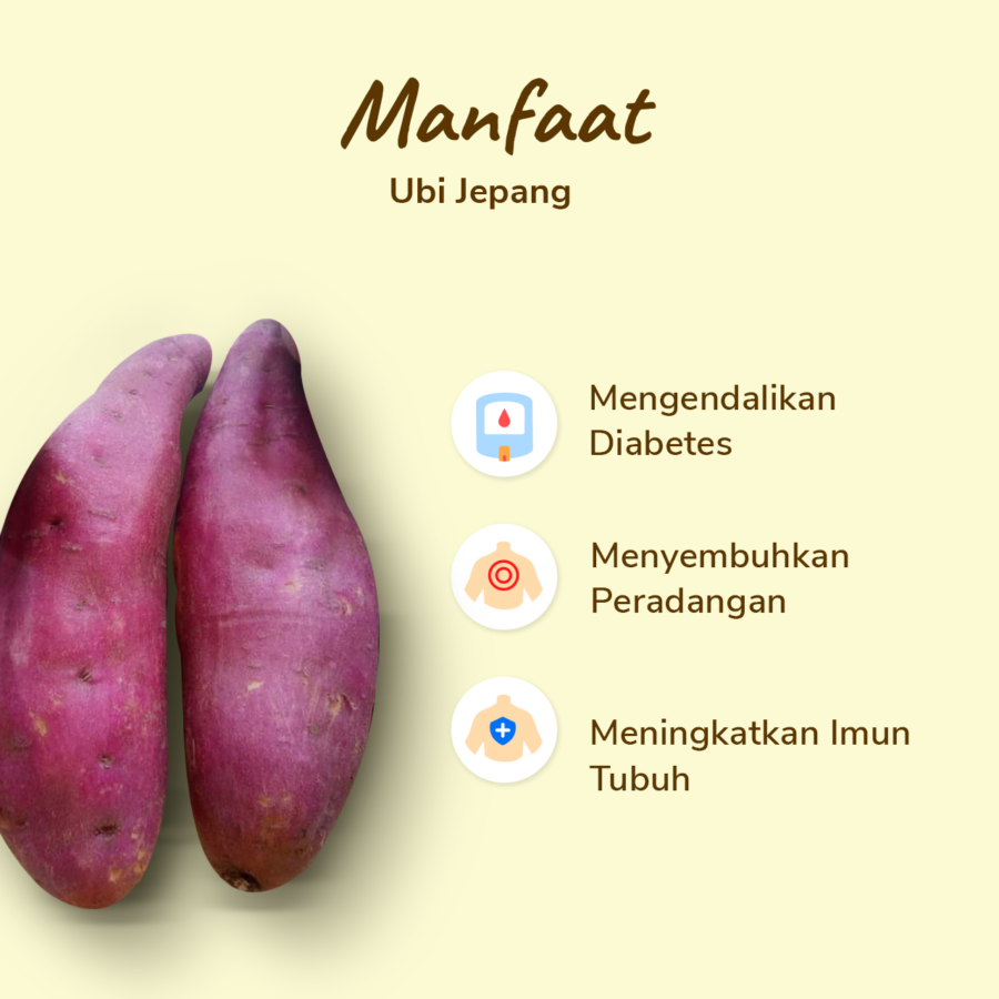 Ubi Jepang Astro Farm 1kg
