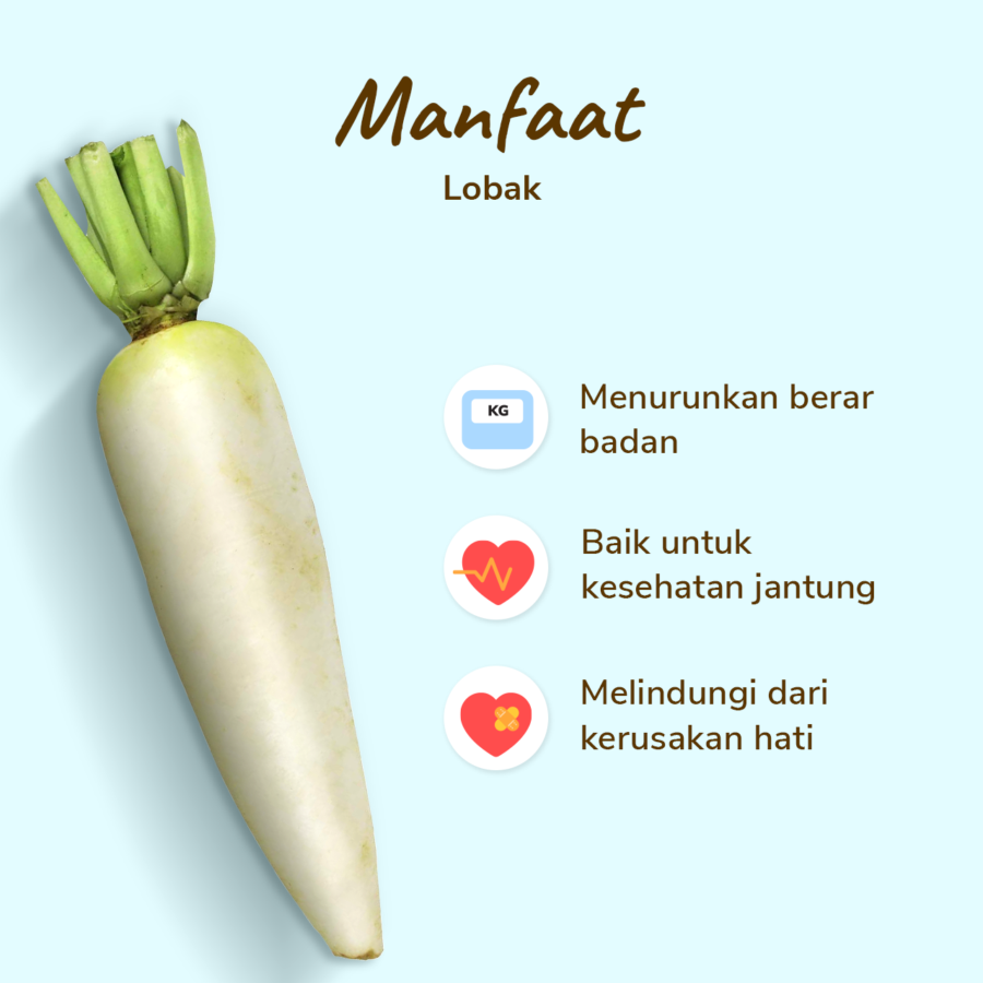 Lobak Astro Farm 500gram