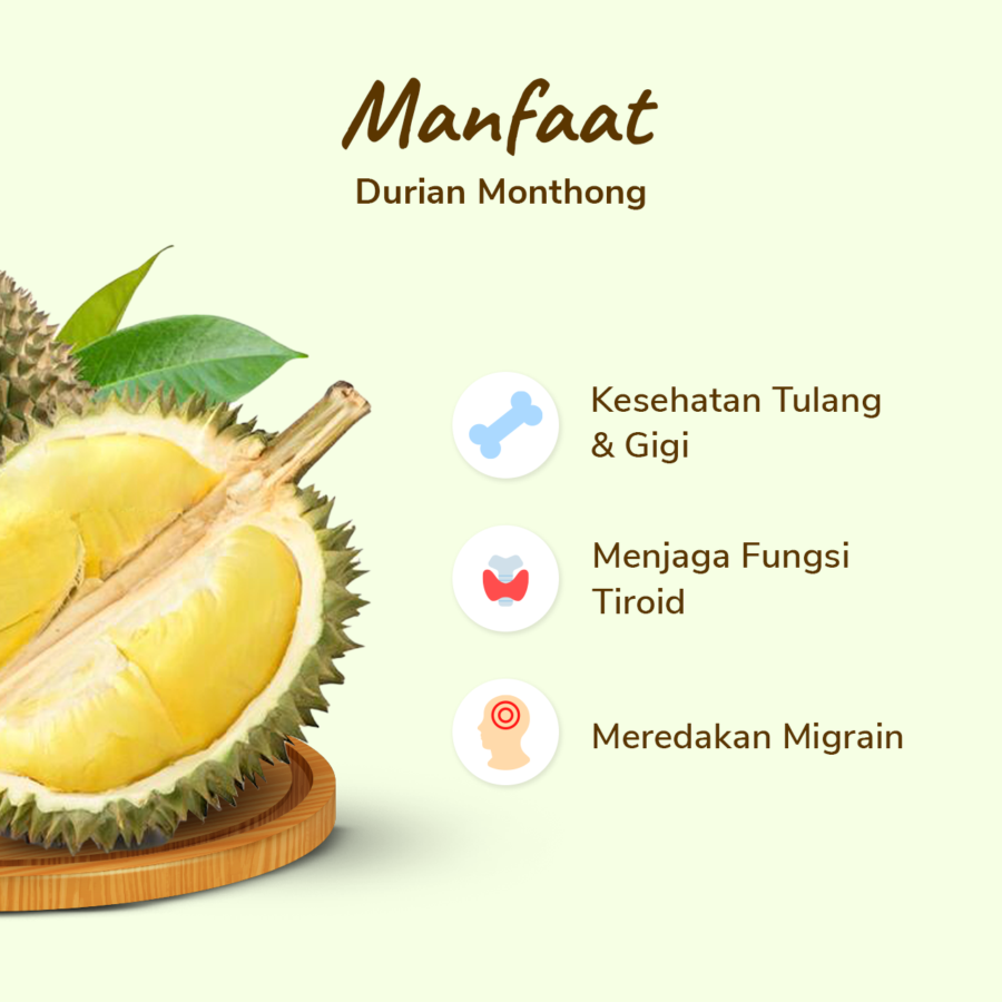 Durian Papi Monthong Frozen Premium 460gr-500gr/pack