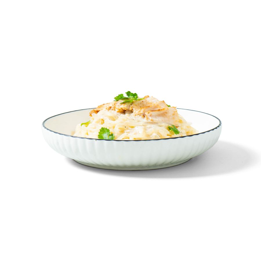 Shirataki Noodle - Chicken Alfredo