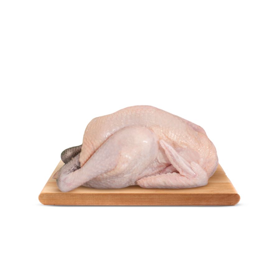 Ayam Kampung Asli KaumFarm 900gr-1kg