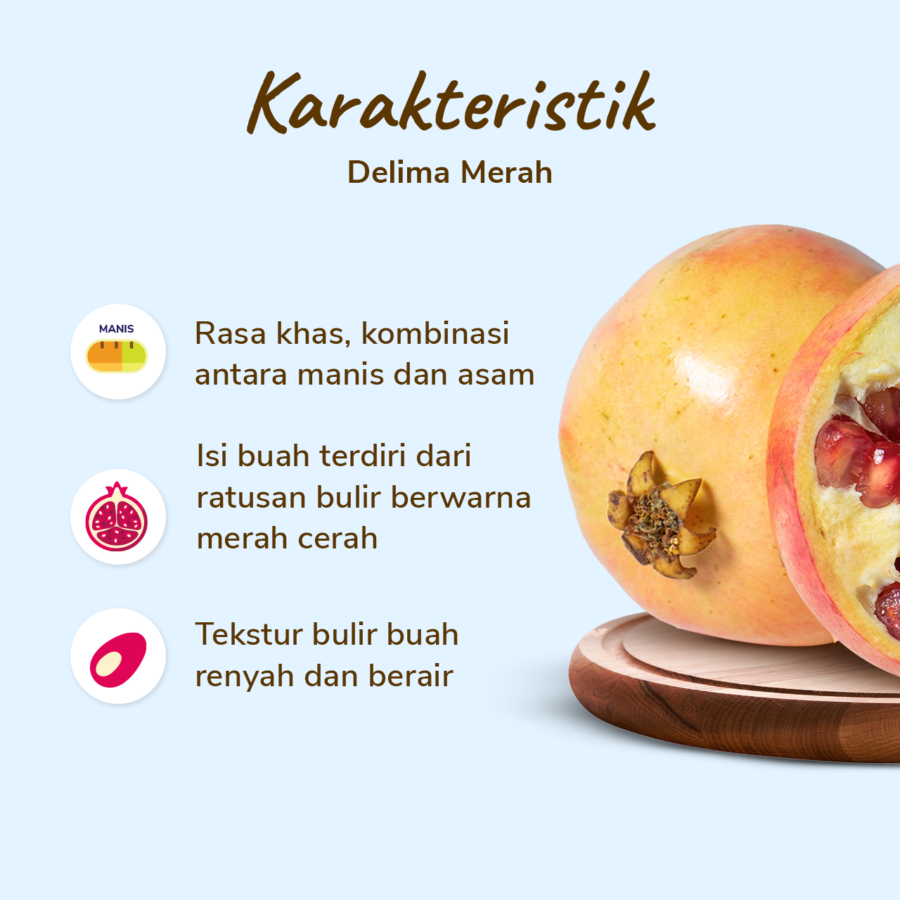 Delima Astro Farm 1 pcs 200-350 gram
