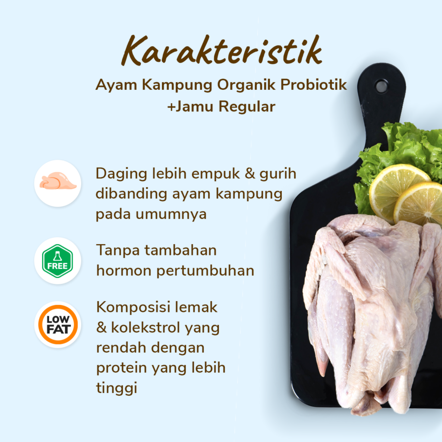 Ayam Kampung Organik Probiotik+Jamu Regular Hona Farm 700-800gram