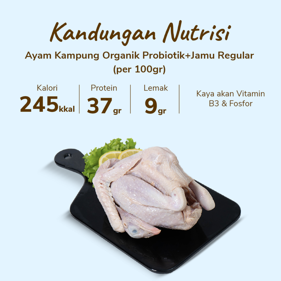 Ayam Kampung Organik Probiotik+Jamu Regular Hona Farm 700-800gram