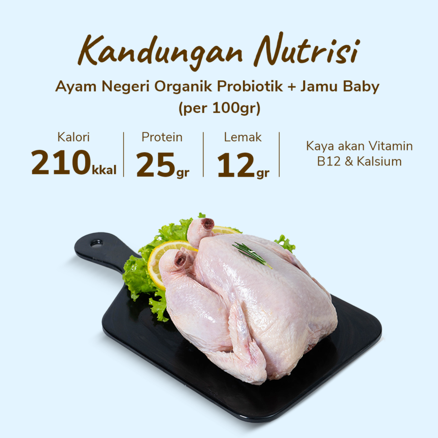 Ayam Negeri Organik Probiotik+Jamu Baby Hona Farm 600-700gram