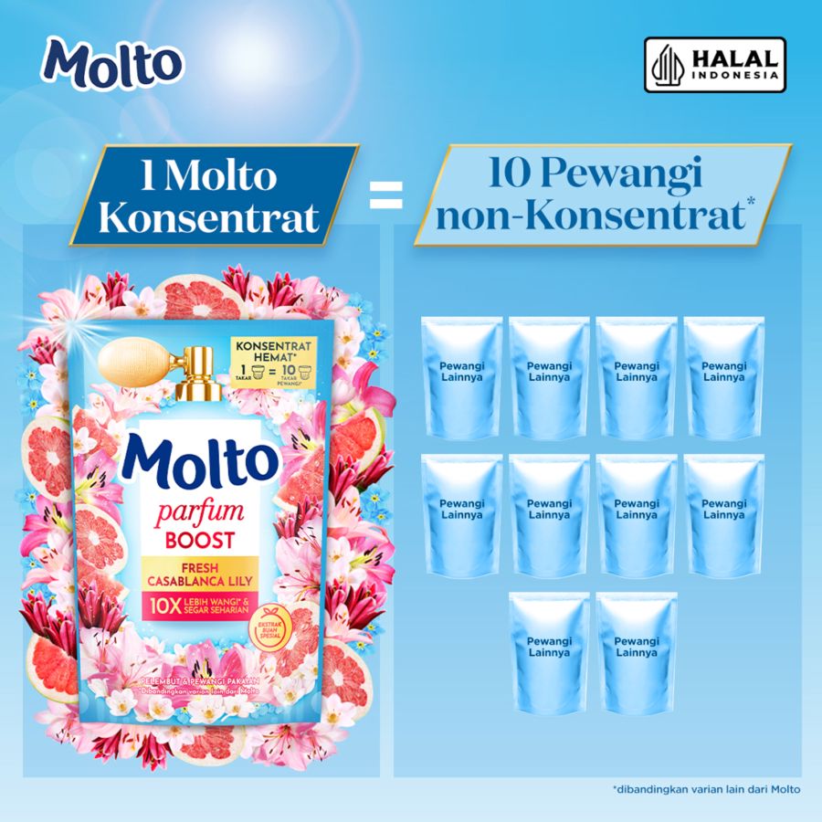Molto Parfum Boost Casablanva Lily Pewangi & Pelembut Pakaian 650ml