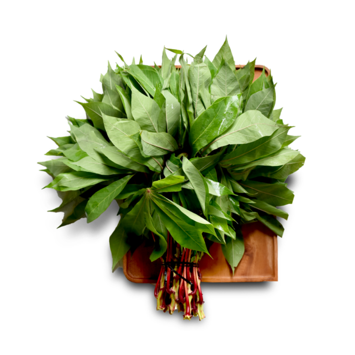 Daun Singkong Astro Farm