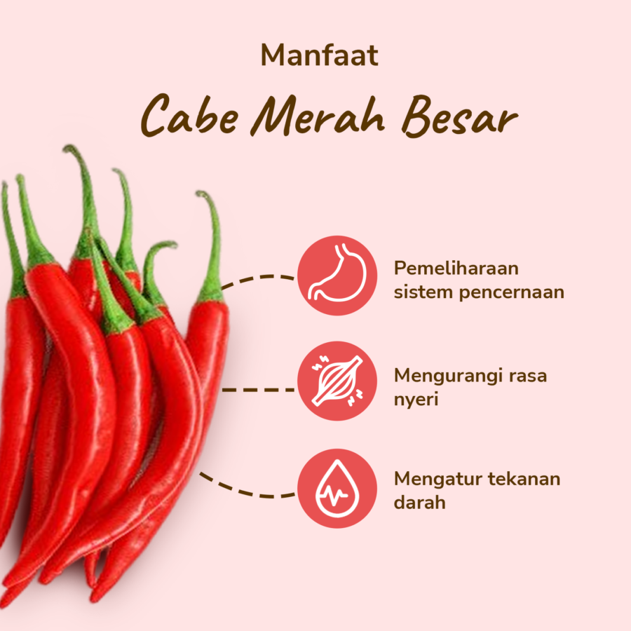 Cabe Merah Besar Astro Farm 100gram