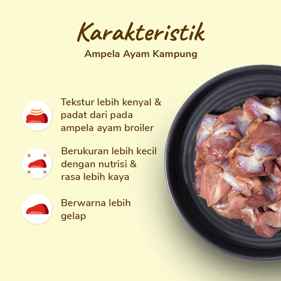 Ampela Ayam Kampung Astro Farm 250gram