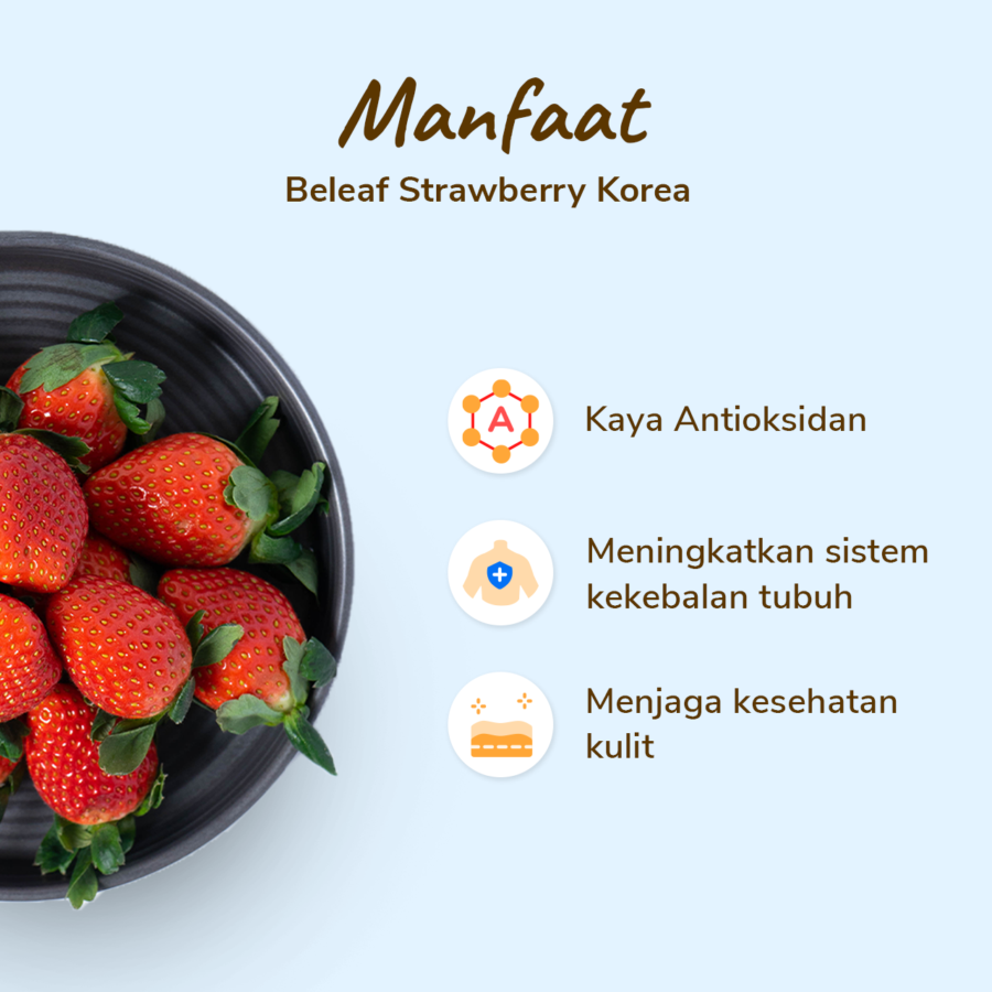 Beleaf Premium Korean Strawberry 330gram