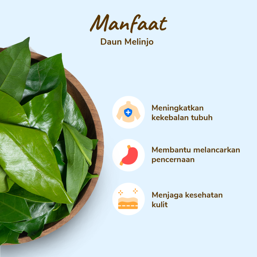 Daun Melinjo Astro Farm 100gram