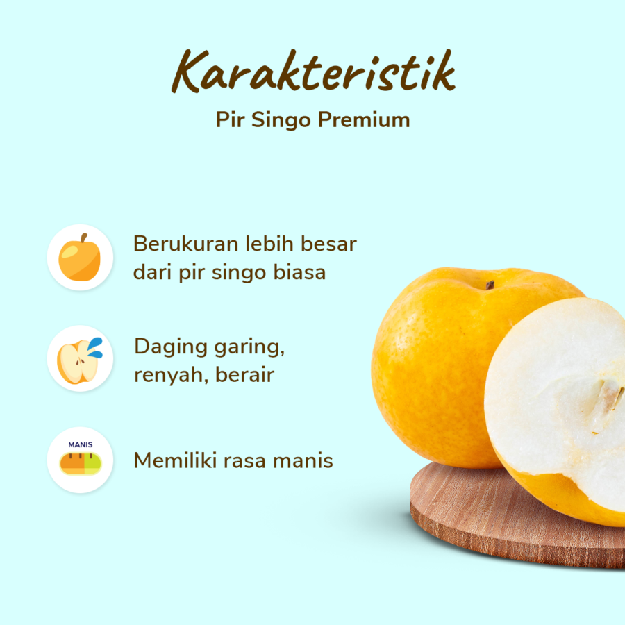 Pir Singo Premium Astro Farm 1pcs