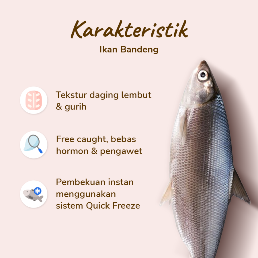 Ikan Bandeng Bersih Astro Basics 400gram