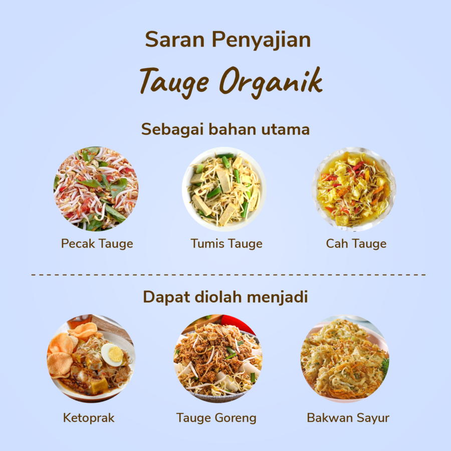 Amazing Farm Tauge Organik 200gram