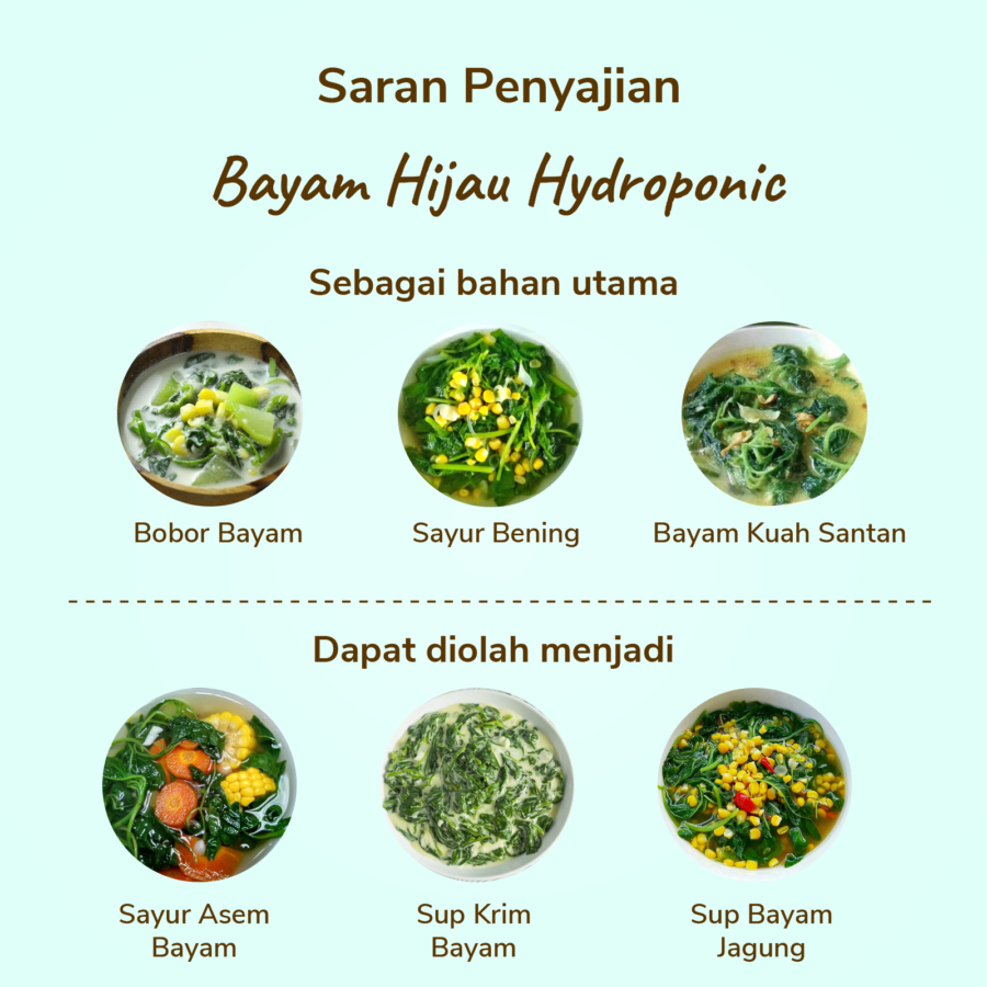 Bayam Hijau Hydroponic Astro Farm 200gram