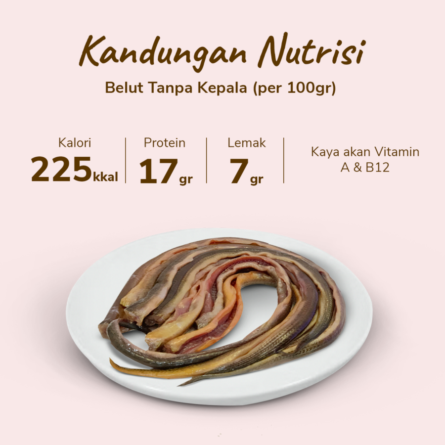 Belut Tanpa Kepala 300-350gram