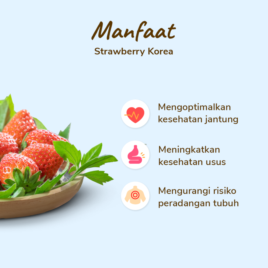 Strawberry Korea Astro Farm 330gram