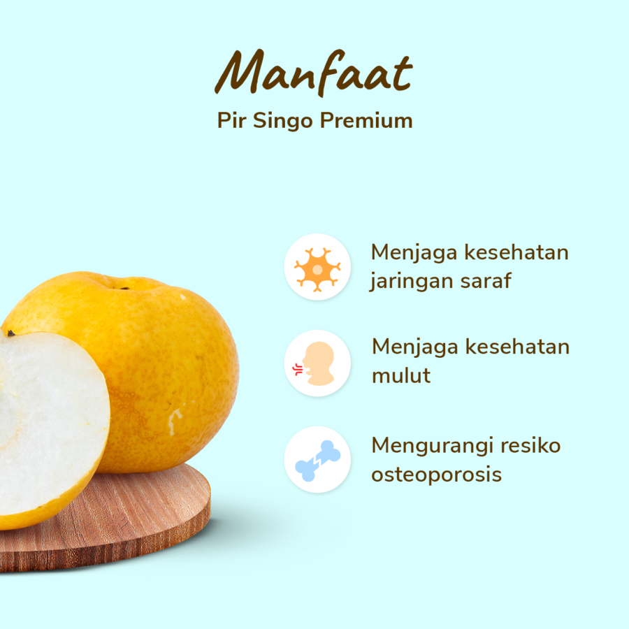 Pir Singo Premium Astro Farm 1pcs