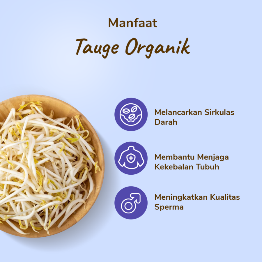 Amazing Farm Tauge Organik 200gram
