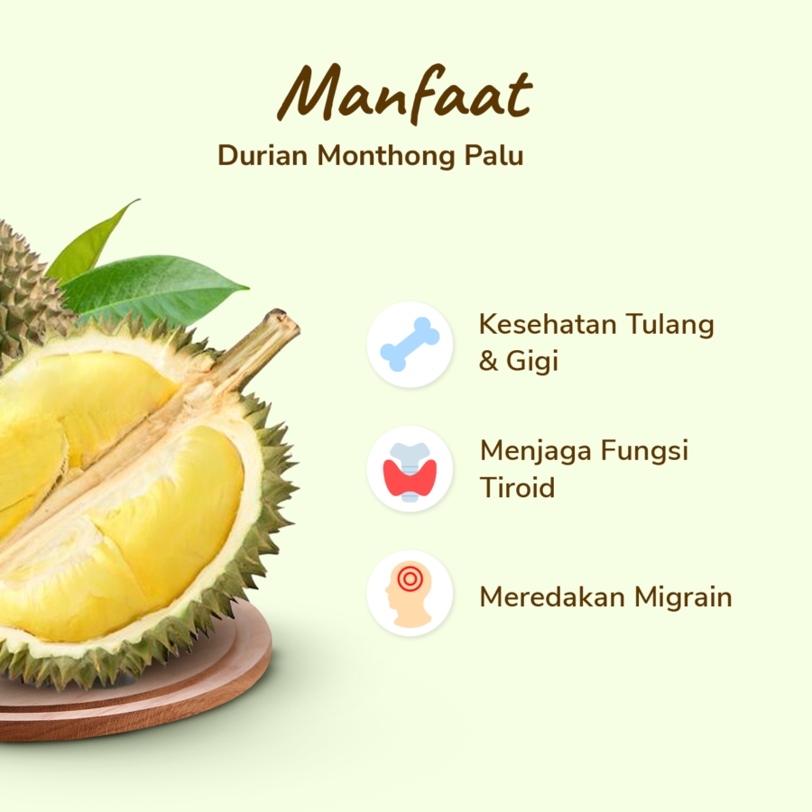 SHB Durian Monthong Palu Frozen Premium 450gr-500gr/pack