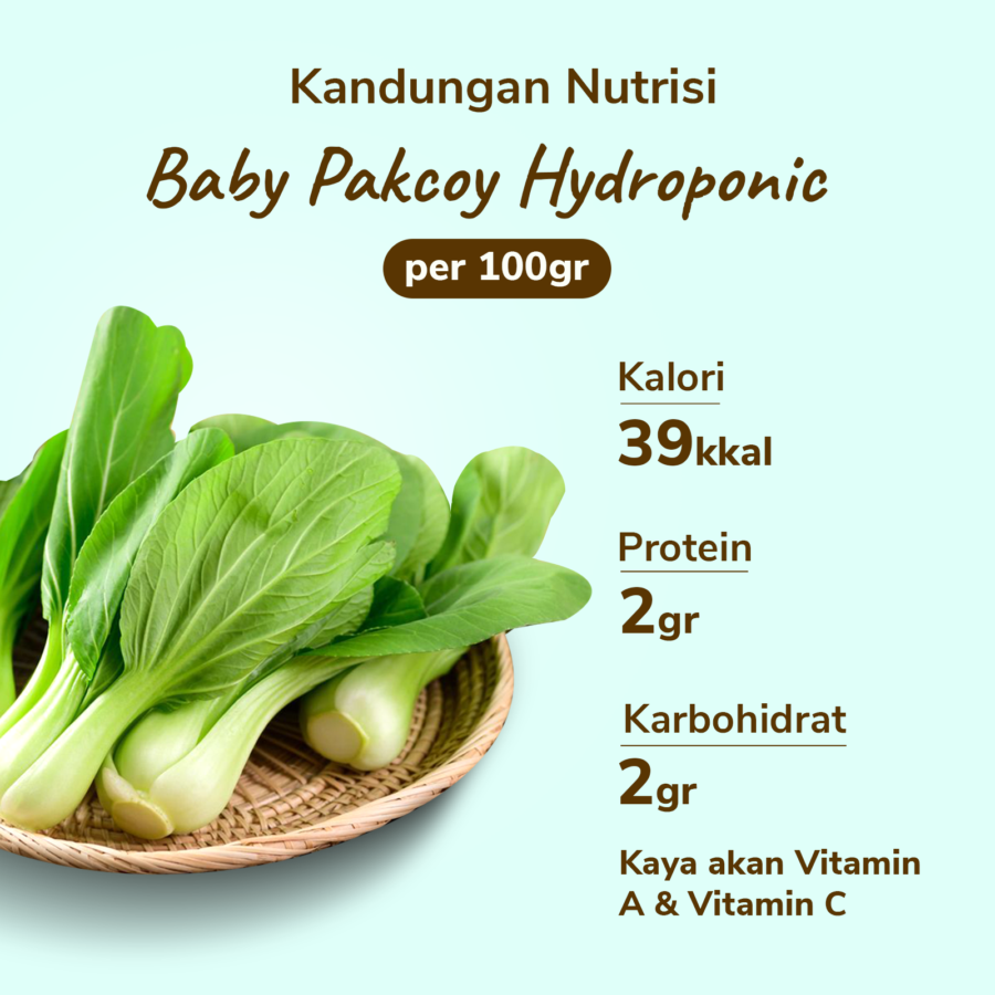Baby Pakcoy Hydroponic Astro Farm 200gram
