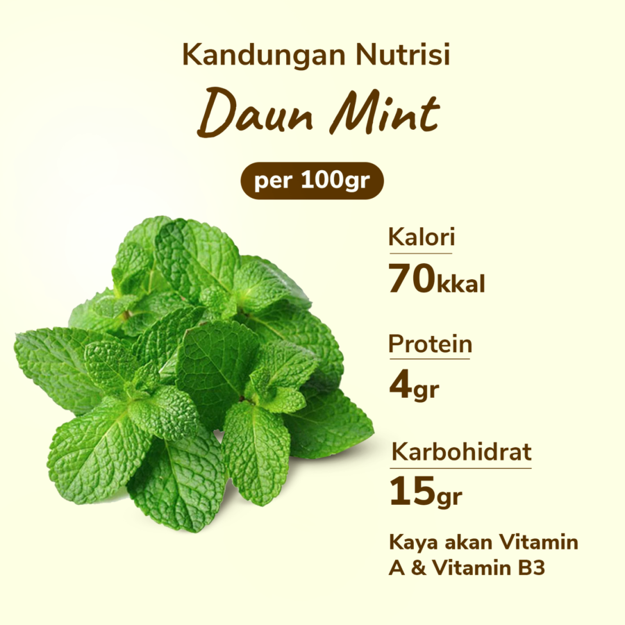 Daun Mint Astro Basic 50gram