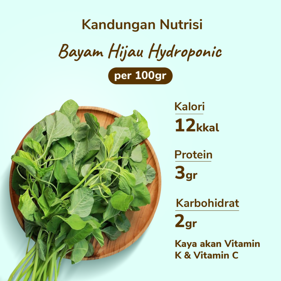 Bayam Hijau Hydroponic Astro Farm 200gram