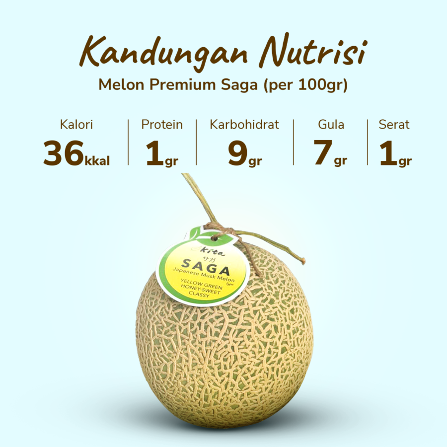 Melon Saga Premium Size XL Astro Farm 1200-1500gram