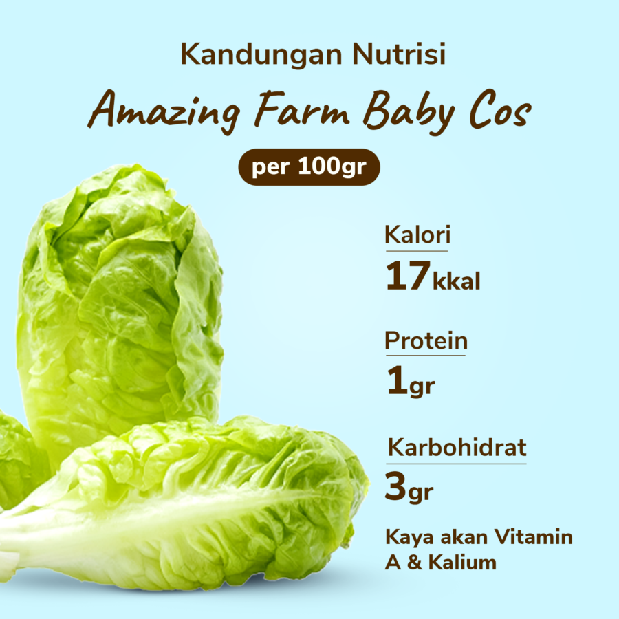 Amazing Farm Baby Cos 250gram